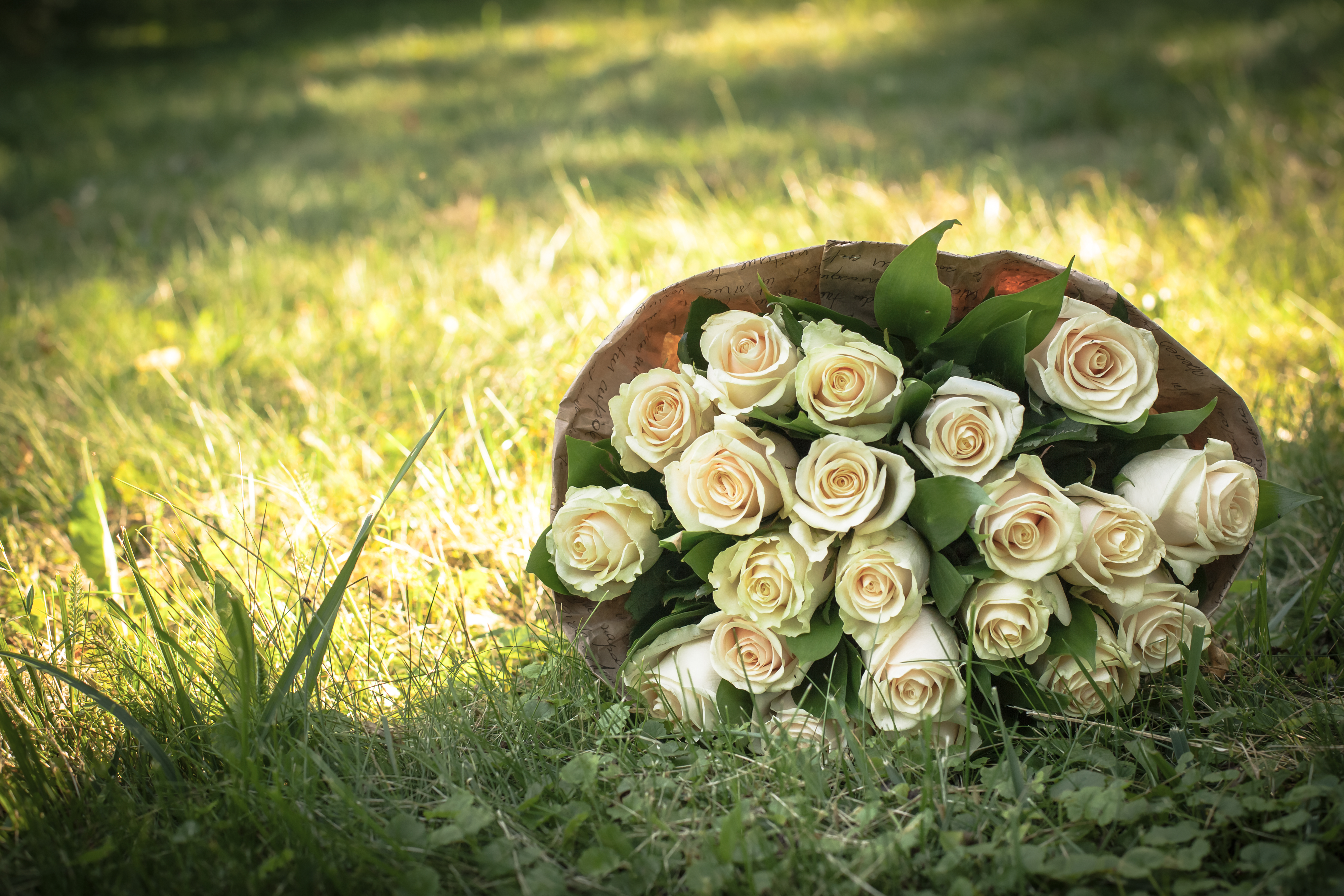 wedding bouquet of white roses 2026 03 24 06 50 57 utc